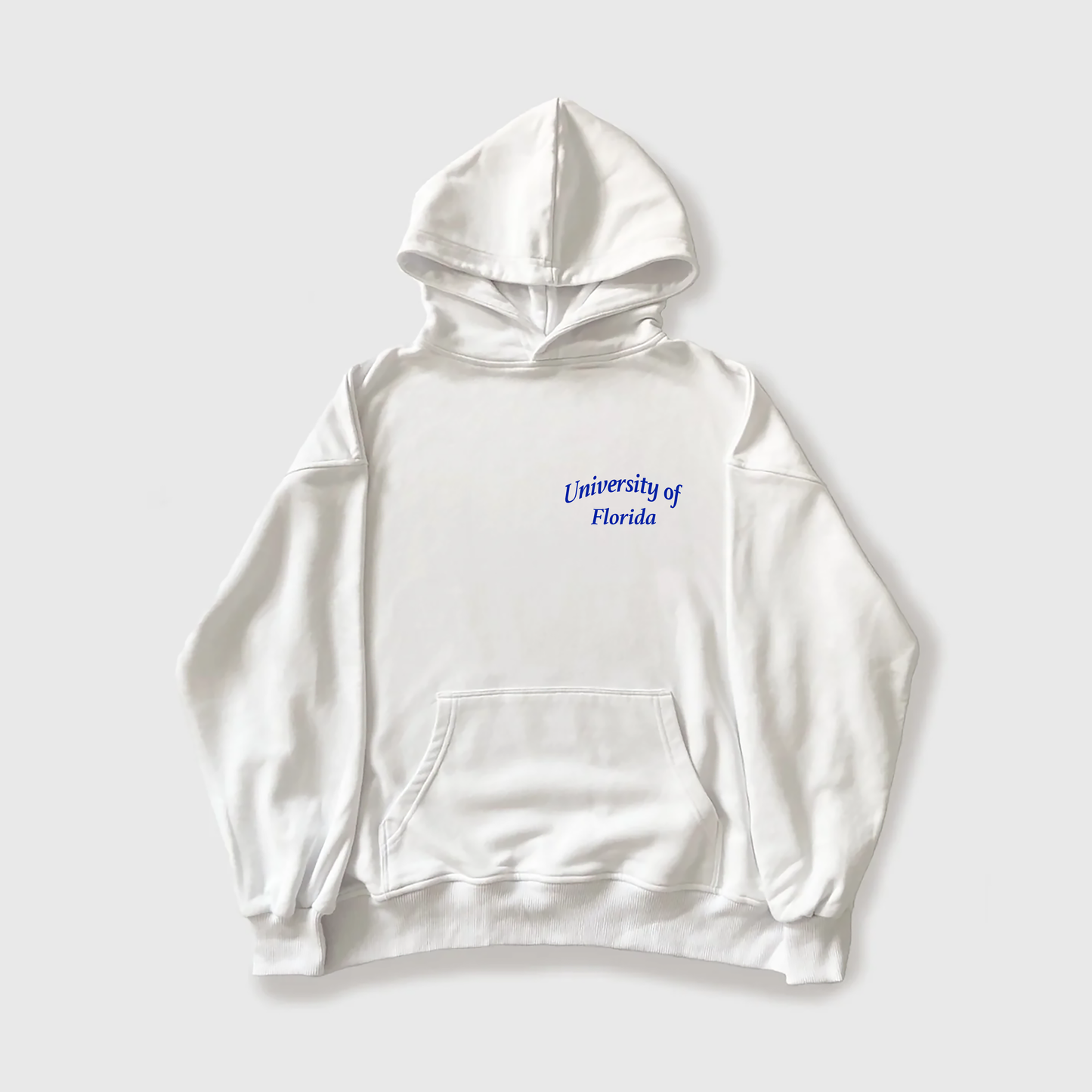 Teddy Bear Florida Hoodie