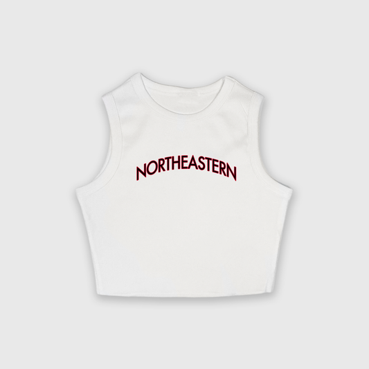 Chic Northeastern Top