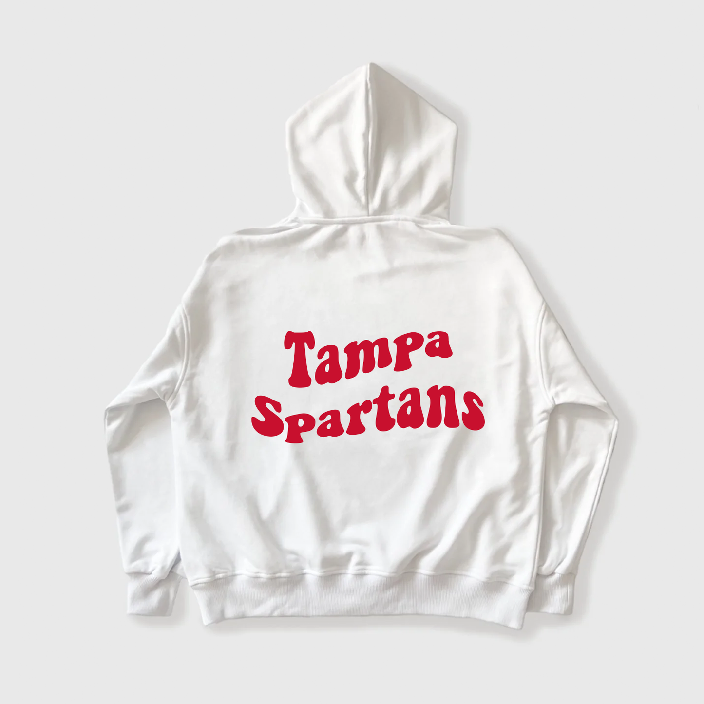 Sway Tampa Hoodie