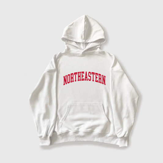 Varsity Northeastern Hoodie